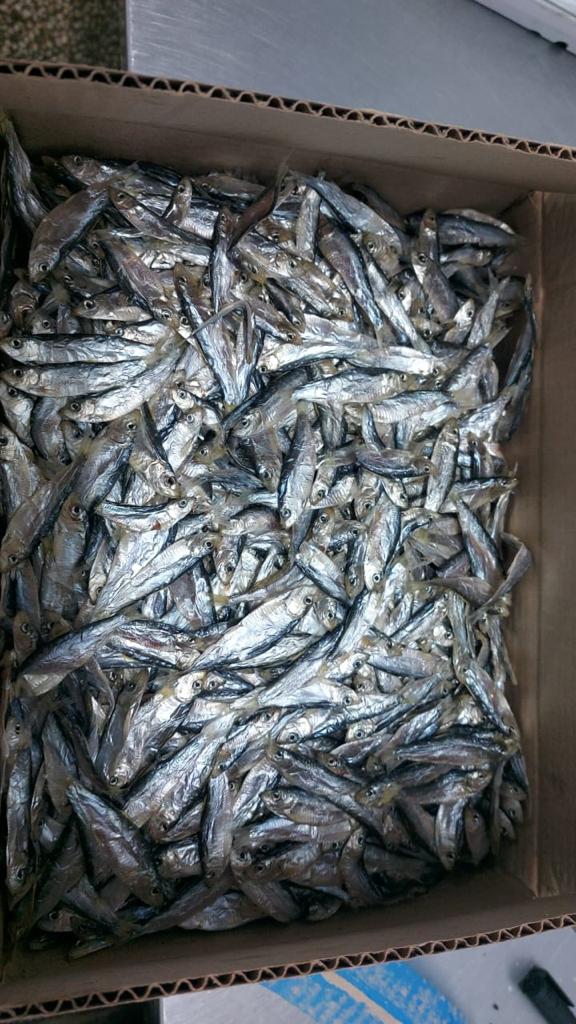 Тюлька вял 2 кг. коробка фото в магазине Рыба-Сочи.рф