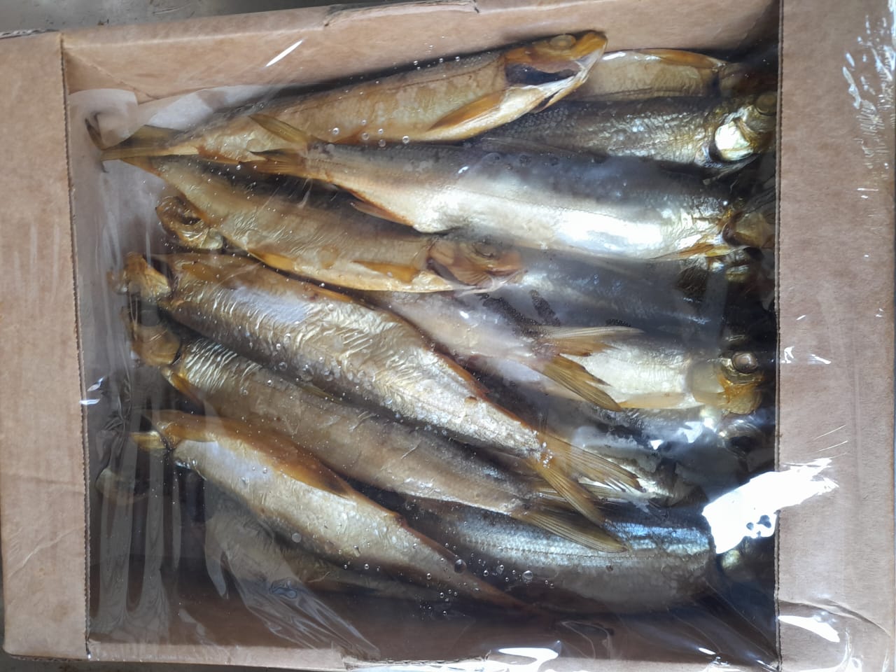 Ряпушка х/к 2кг фото в магазине Рыба-Сочи.рф