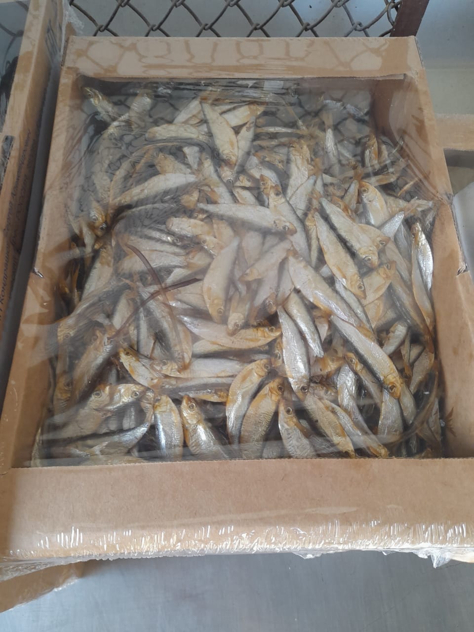 Тюлька х/к 2кг коробка фото в магазине Рыба-Сочи.рф