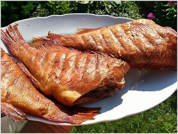 Окунь морской горячего копчения 2 кг. коробка