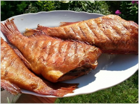 Окунь морской горячего копчения 2 кг. коробка фото в магазине Рыба-Сочи.рф