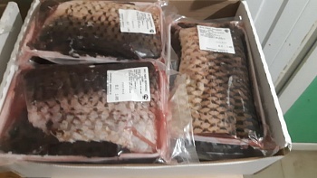 Филе сазана с/м в/у фасовка 3- 4 кг Продажа коробами!