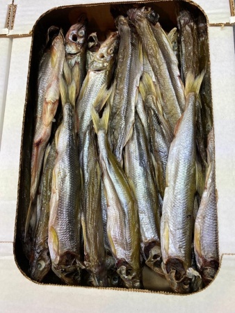 Корюшка вял. с икрой 18-20 Зубатка 2 кг. коробка Сахалин фото в магазине Рыба-Сочи.рф