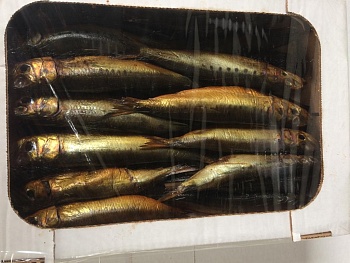 Иваси холодного копчения вес 2 кг. коробка