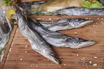 Щука вяленая ПСГ 300- 400 гр.