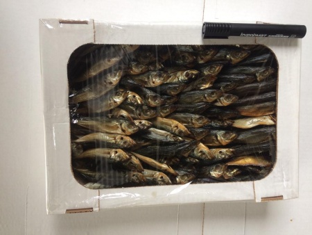 Ставридка Черноморская х/к вес 2кг. коробка фото в магазине Рыба-Сочи.рф