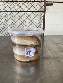 Сельдь  с/с атлантическая 400+ КРУПНАЯ Свежий вылов (в ведре 8-10 штук) фас. 4 кг (цена за ведёрко)